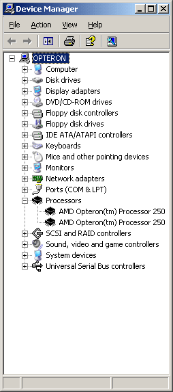 opteron_64bit_2.gif (11860 bytes)