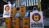Acqua radioattiva: il Giappone ha iniziato a rilasciare l'acqua di Fukushima nel Pacifico 