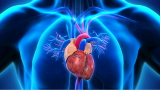 L'intelligenza artificiale prevede il rischio di infarto fino a 10 anni prima. Ma come? Ecco lo studio