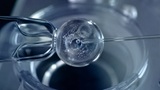 'Si. Pu&ograve;. Fare!': i ricercatori hanno dato vita a una cellula partendo da componenti non viventi