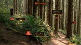 James Dyson Award Italia 2025: il progetto vincitore fa 'parlare' gli alberi