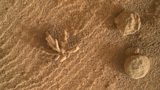 Marte: incredibile foto di un fiore scattata da Curiosity! Ma lo &egrave; davvero?