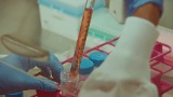 950 agenti, 210 milioni di token e 21 ore per trovare gli enzimi ART nel DNA dei fagi