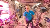Roscosmos offre agli astronauti ESA di volare a bordo delle Soyuz dalla Guyana francese