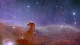 Telescopio spaziale Euclid: ESA svela le prime immagini, ma il viaggio &egrave; solo all'inizio