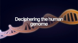 AlphaGenome Atlas, l'AI di Google analizza 9 miliardi di possibili mutazioni genetiche