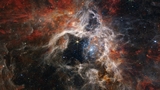 Nuova spettacolare immagine dal telescopio spaziale James Webb: &egrave; la Nebulosa Tarantola