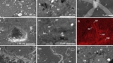 Trovati batteri terrestri in un campione dell'asteroide Ryugu: una contaminazione che pu&ograve; insegnare qualcosa