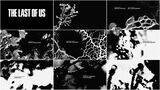 Il fungo di "The Last of Us" esiste davvero: diventeremo tutti zombie?  