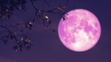 Luna delle Fragole 2025 in Italia: oggi il fenomeno astronomico pi&ugrave; atteso! Ecco come vederla