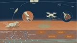 La missione cinese Tianwen-3 per portare sulla Terra campioni di Marte prende forma, lancio nel 2028