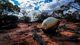 La capsula W-3 di Varda Space &egrave; rientrata correttamente dopo il lancio avvenuto a marzo