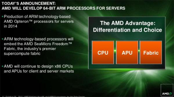 amd_arm_slide_1.jpg (47548 bytes)